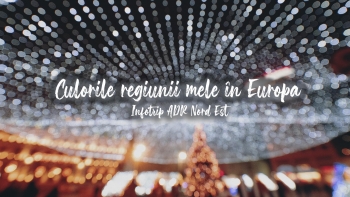 Infotrip - Culorile regiunii mele în Europa 1